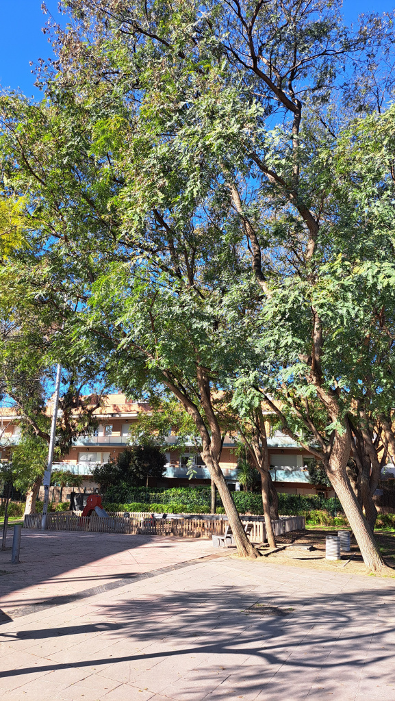 Vista del curs del torrent totalment urbanitzat.