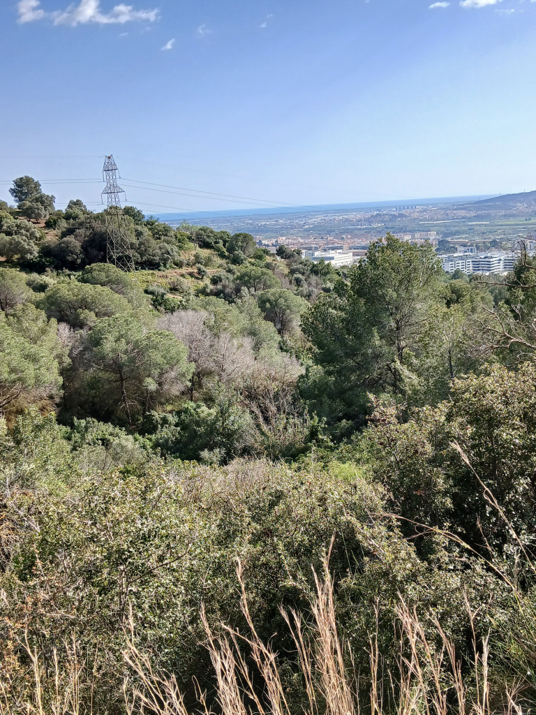 El curs a la part alta, emboscat. El paisatge s’obre en una balconada verda des d’on s'albira bona part de la vall del Llobregat fins al mar. Entre pins i margallons, el contrast entre el bosc i la ciutat es fa evident.