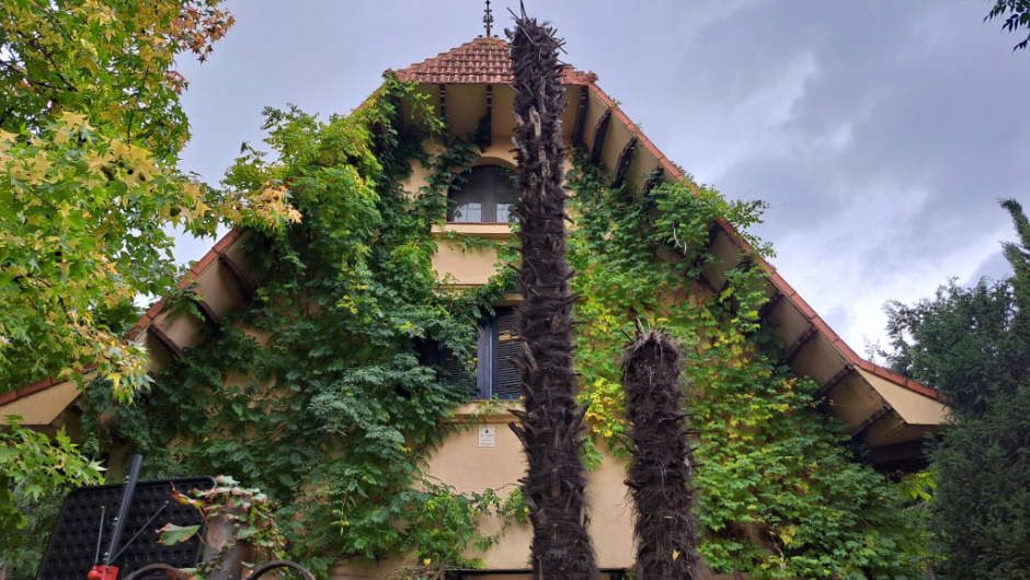 Vista detall de la façana, molt tapada per la vegetació del carrer i del jardí. 