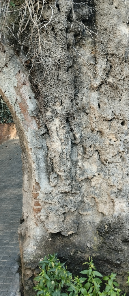 Concrecions calcàries al pilar de l'aqüeducte.