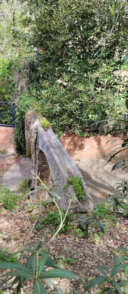 Vista del canal de l'aqüeducte. 