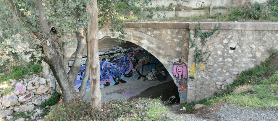 Vista general de l'estructura del pont.