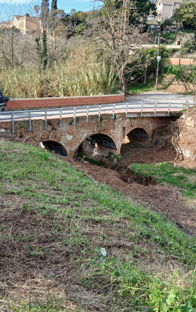 Vista general del pont creuant la riera. 