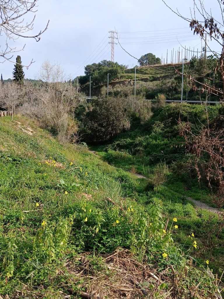Vista general de la riera de Sant Just a l'altura del pont.