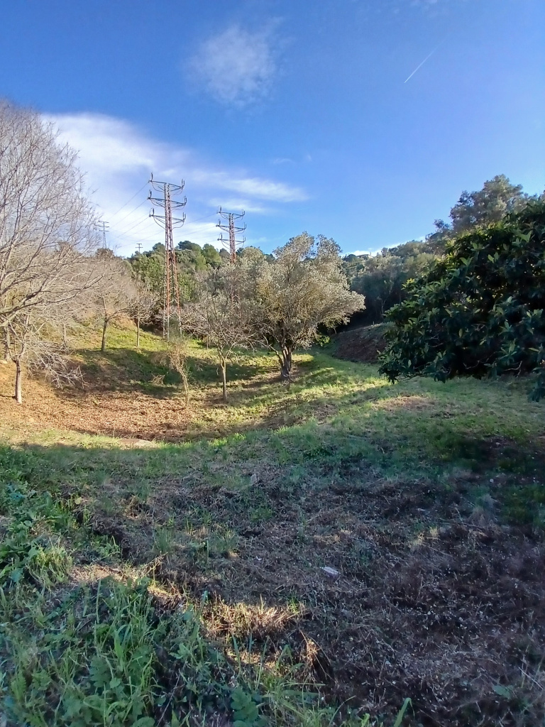 Vista general del torrent.