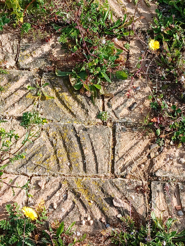 Vista detall del paviment de l'era.