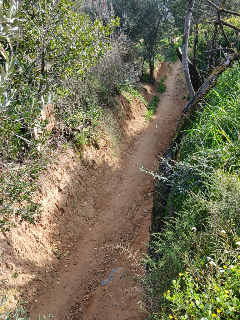 Vista del camí encaixat a les argiles quaternàries.