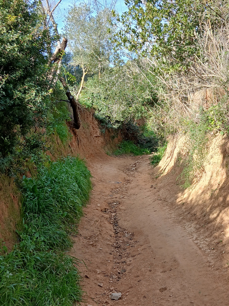 Vista del camí encaixat a les argiles quaternàries.
