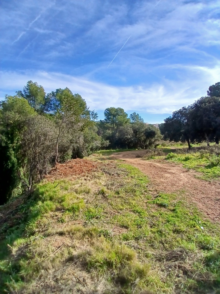 Vista general de l'emplaçament del torrent.