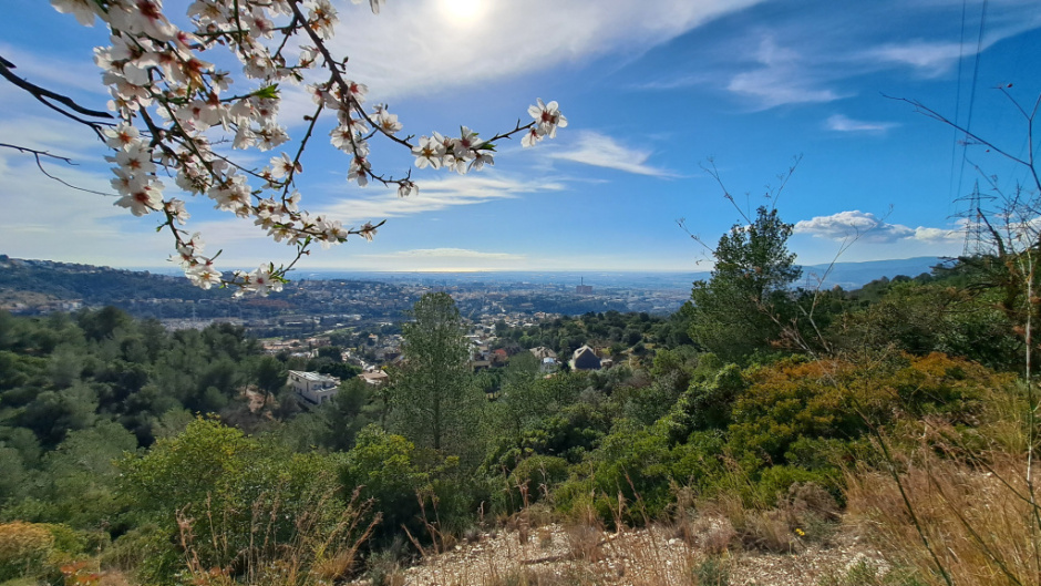 Des de la Serra s'han dominat històricament la plana i les diverses xarxes de comunicació.