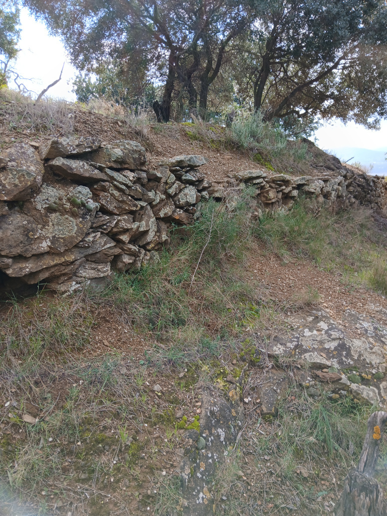 Detall d'un dels marges.