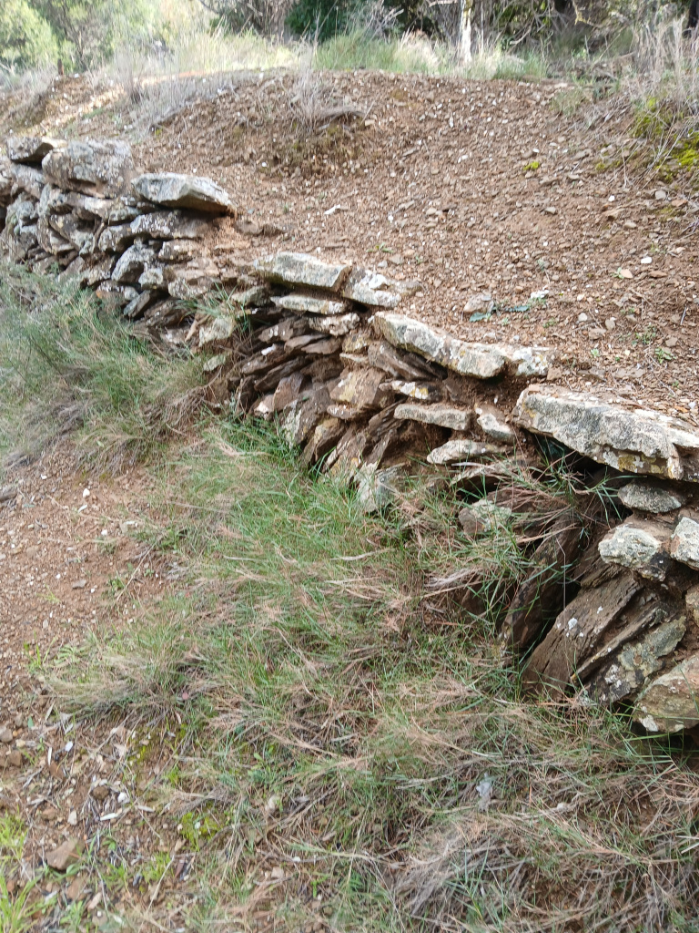 Detall d'un dels marges de pedra sorrenca.