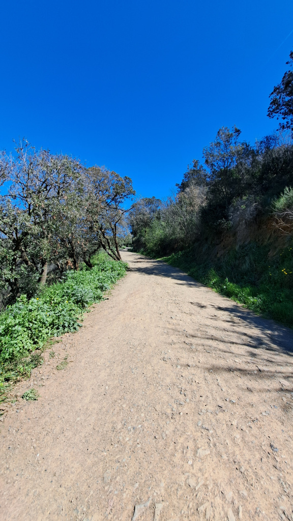 Tram de la carrerada a on s'aprecia el paviment de terra.