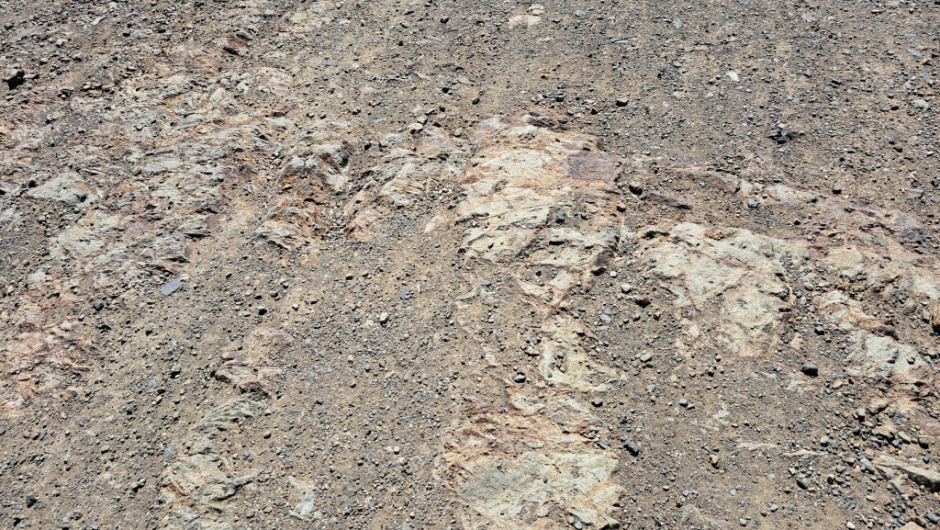 Detall del paviment de roca de la carrerada amb marques de rodades.