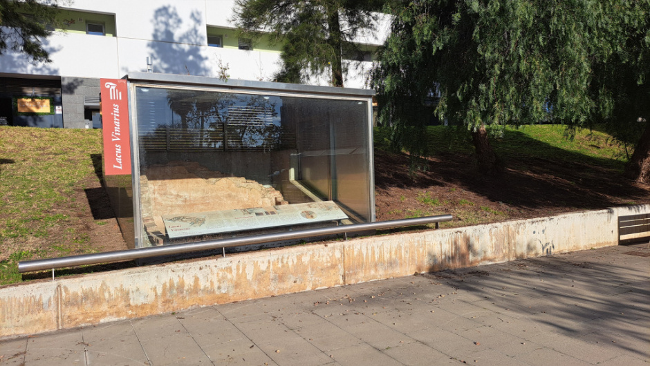 Vista detall de l'emplaçament actual del lacus al parc de Camp Roig.