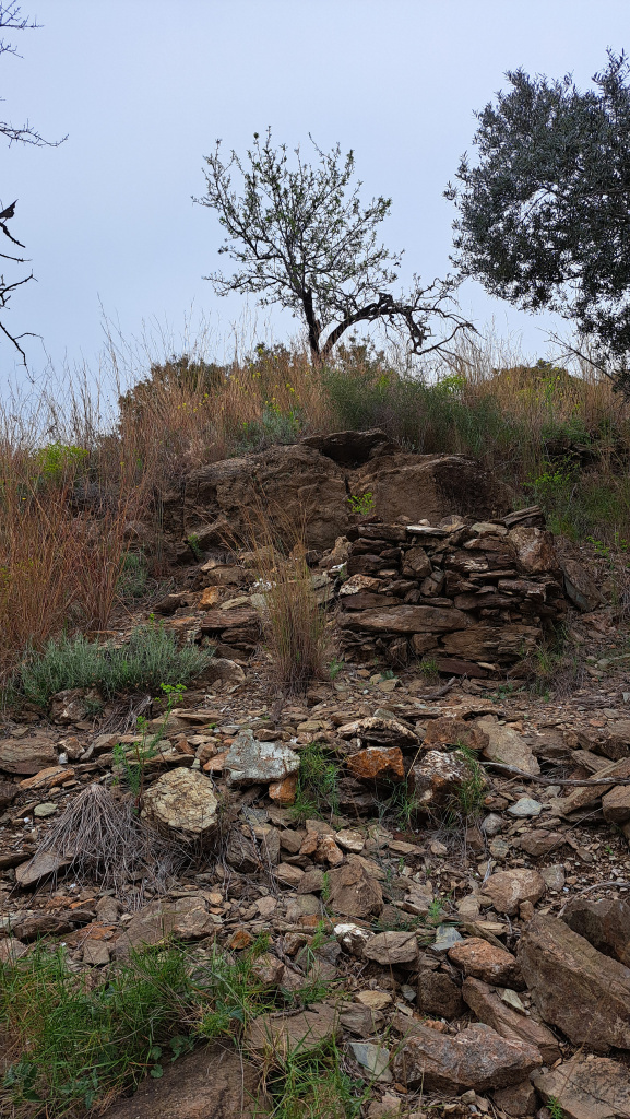 Vista frontal de les restes de la barraca.