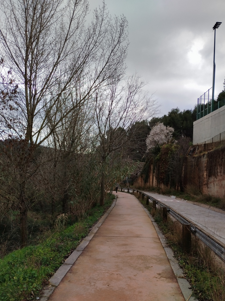 Tram del camí de la Muntanya amb el passeig de vianants, al seu pas per Can Merlès.