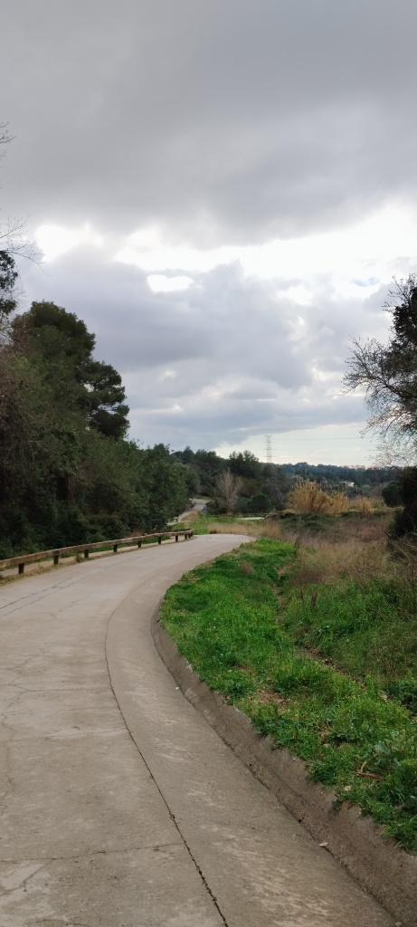 Tram del camí de la Muntanya amb el passeig de vianants.