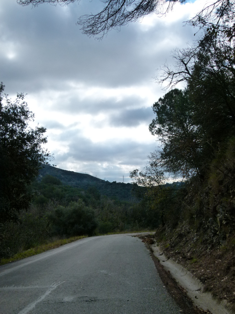 Tram superior del camí de la Muntanya.
