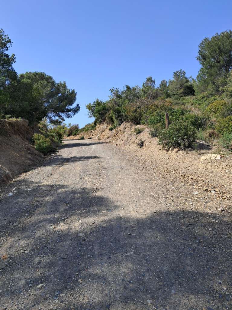 Vista del camí entre vegetació mediterrània.