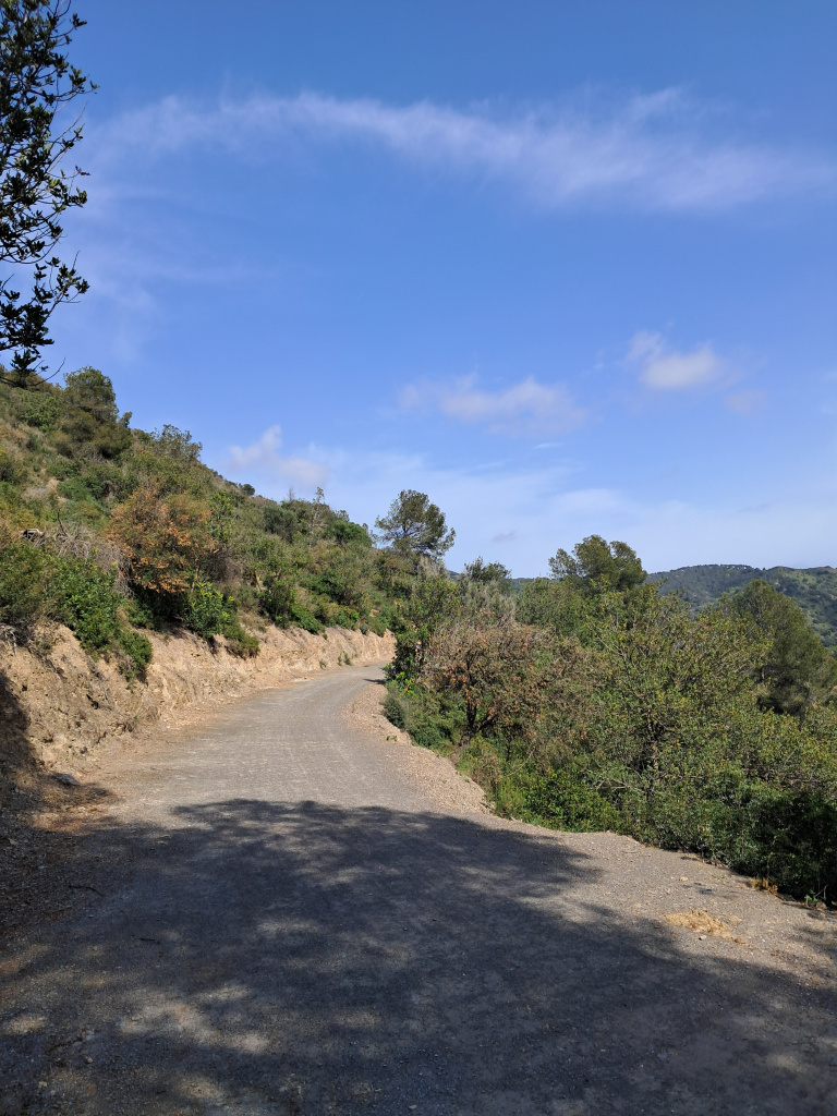 Vista del camí entre vegetació mediterrània.