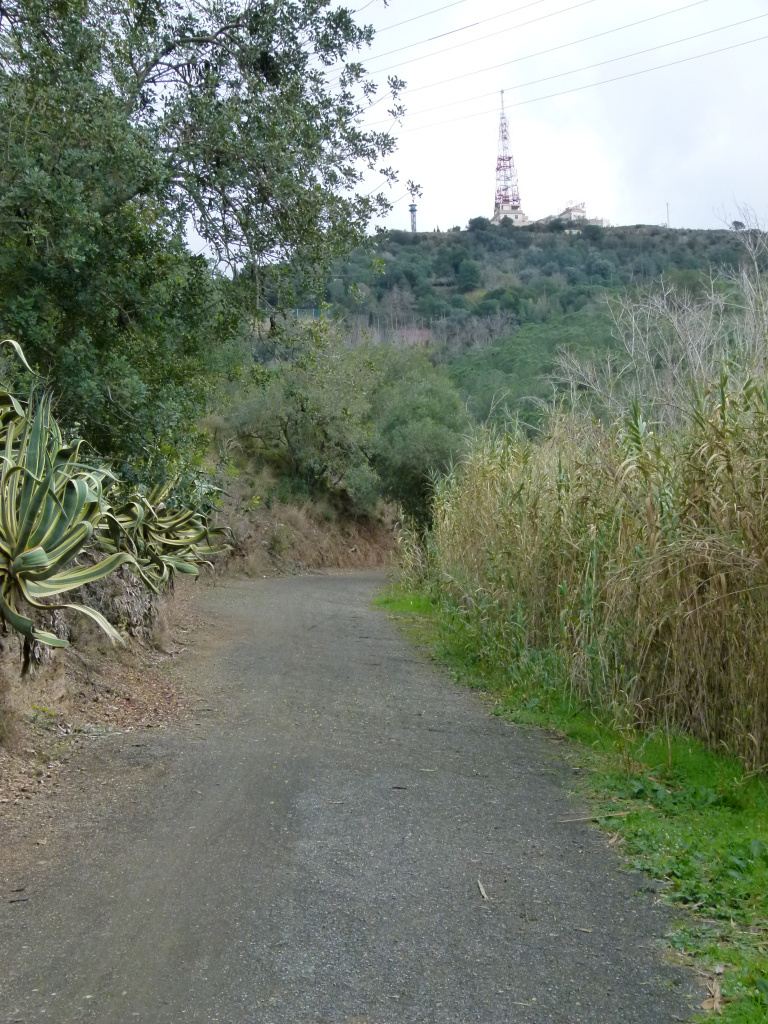 Camí de la font de la Beca amb Sant Pere Màrtir al fons.
