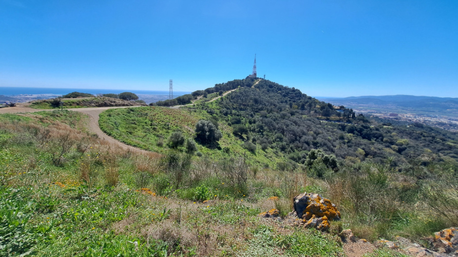 Vista general del tram del camí en direcció a Sant Pere Màrtir.