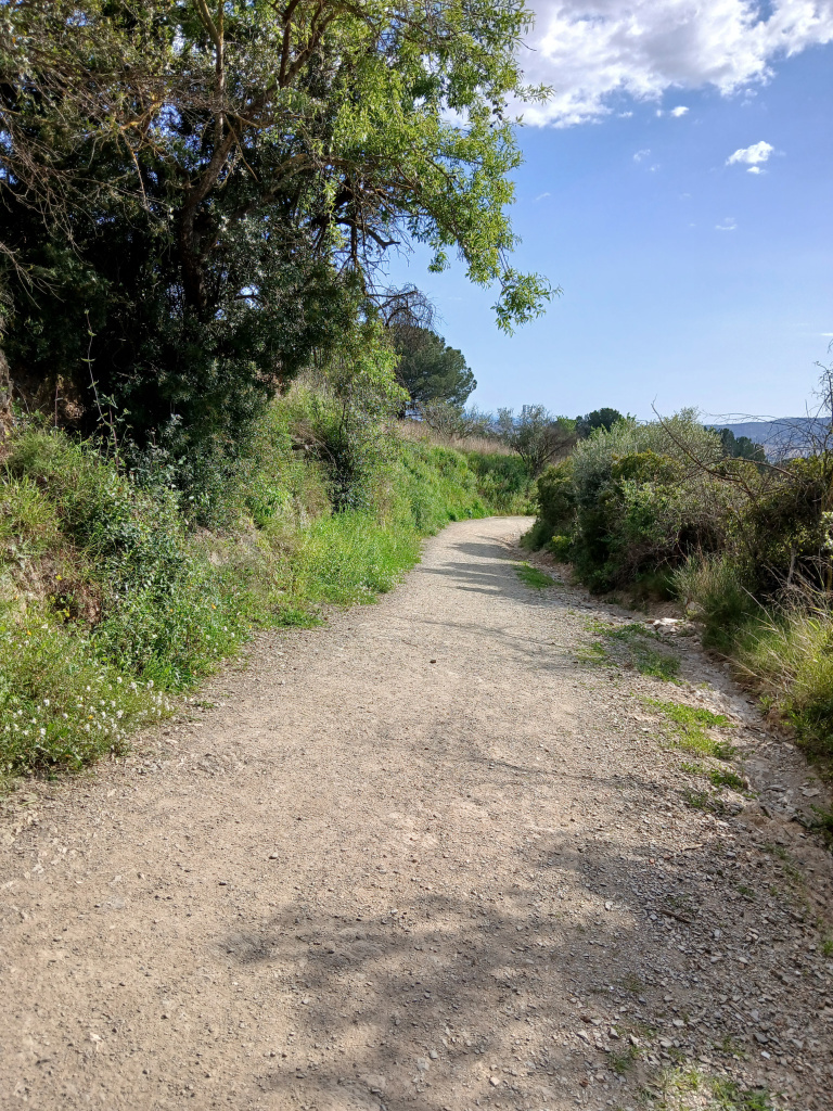 Tram del camí envoltat de vegetació.