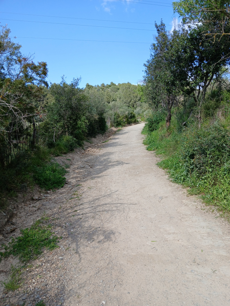 Tram del camí al seu pas per una zona forestal de bosc mixt mediterrani.