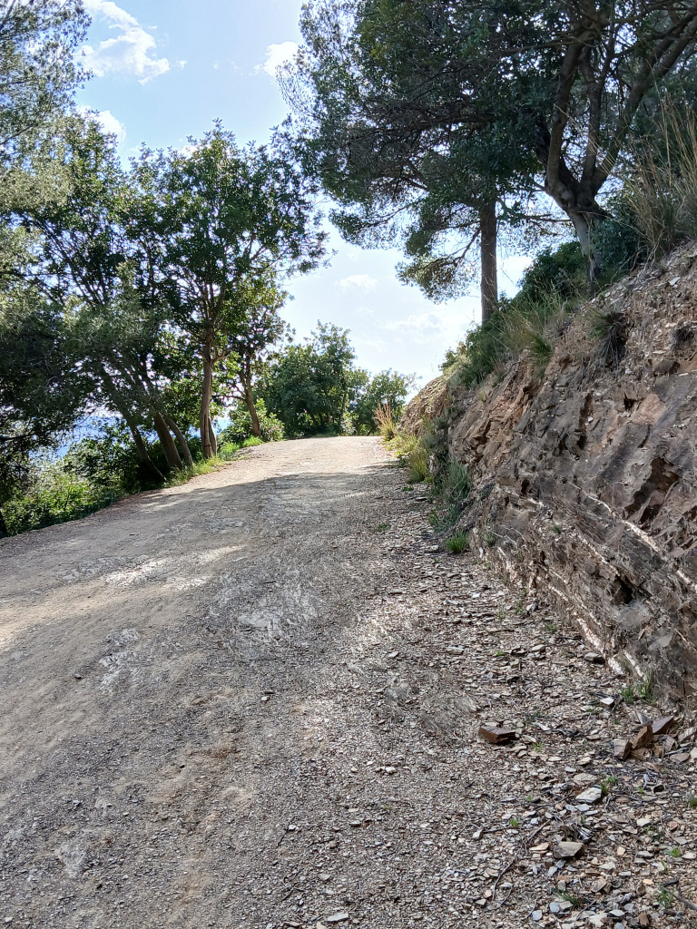 Part central del camí que retalla la roca mare.