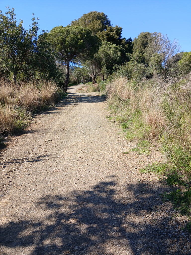 Tram del camí amb paviment de tot-u entre vegetació mediterrània.
