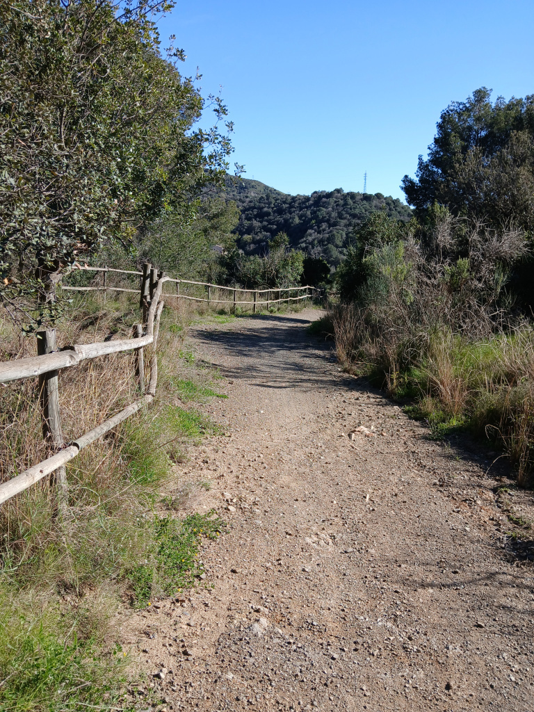 Tram del camí proper a la masia de can Fatjó.