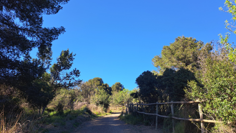 Tram del camí proper a la masia de can Fatjó.