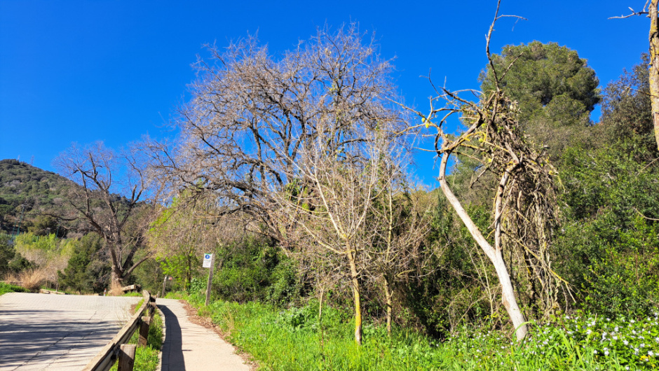 Inici del camí al trencall de l'actual passeig de la Muntanya.