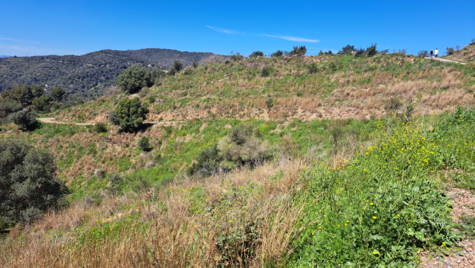 Vista general del traçat de la pista forestal.