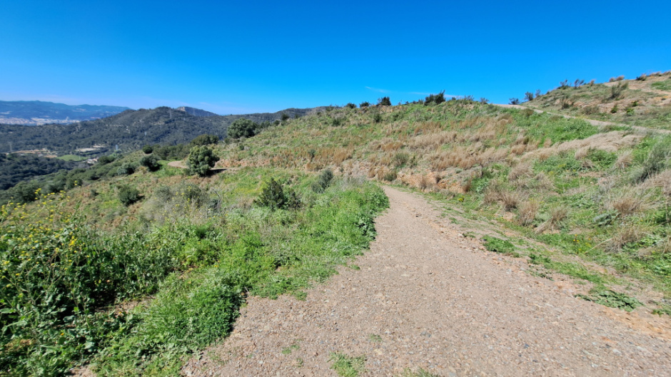 Detall de la pista forestal. 