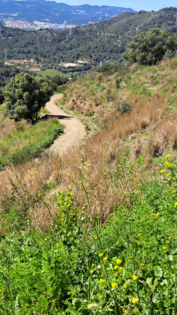 Vista general del traçat.