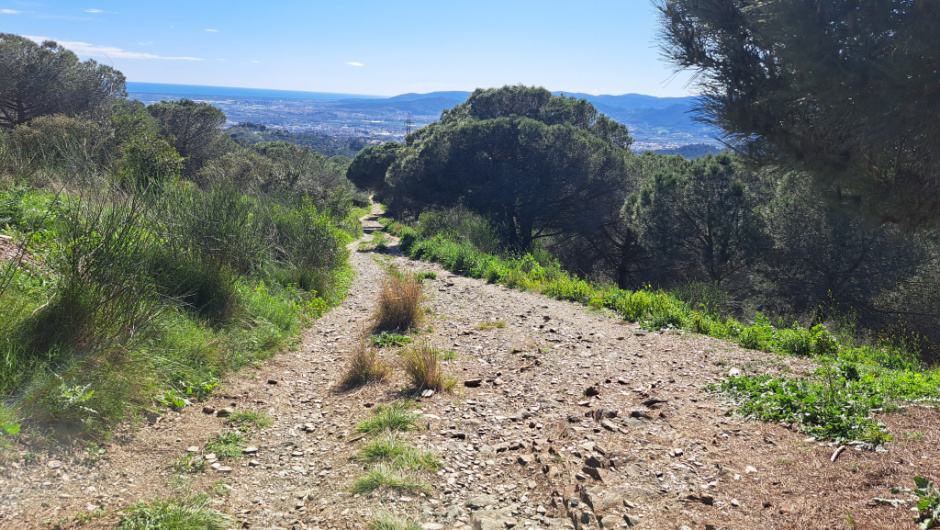 Tram del camí més ample i planer, envoltat de vegetació mediterrània.