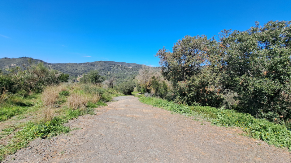 Tram del camí envoltat de vegetació mediterrània.