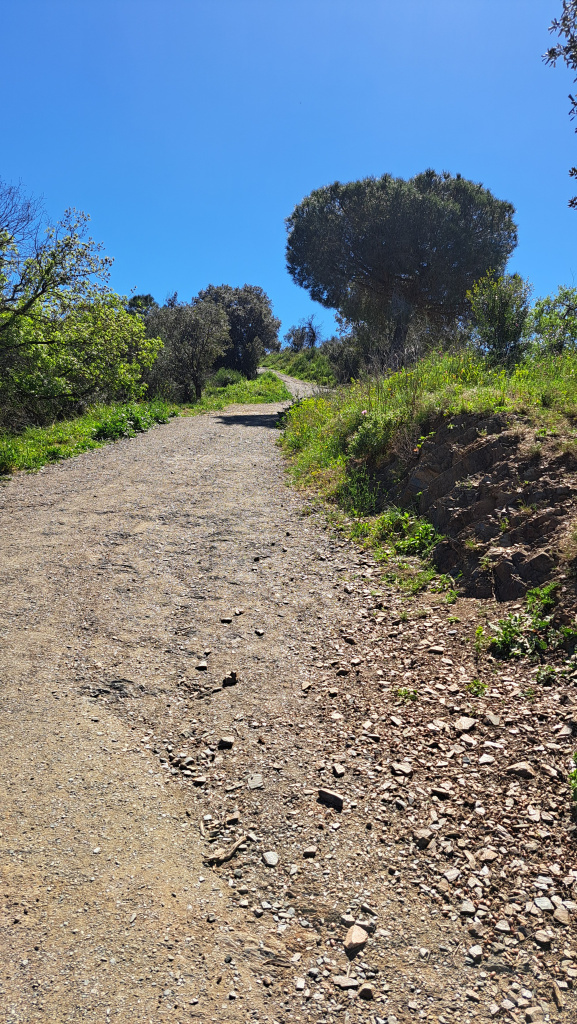 Tram del camí en el seu ascens al turó. 