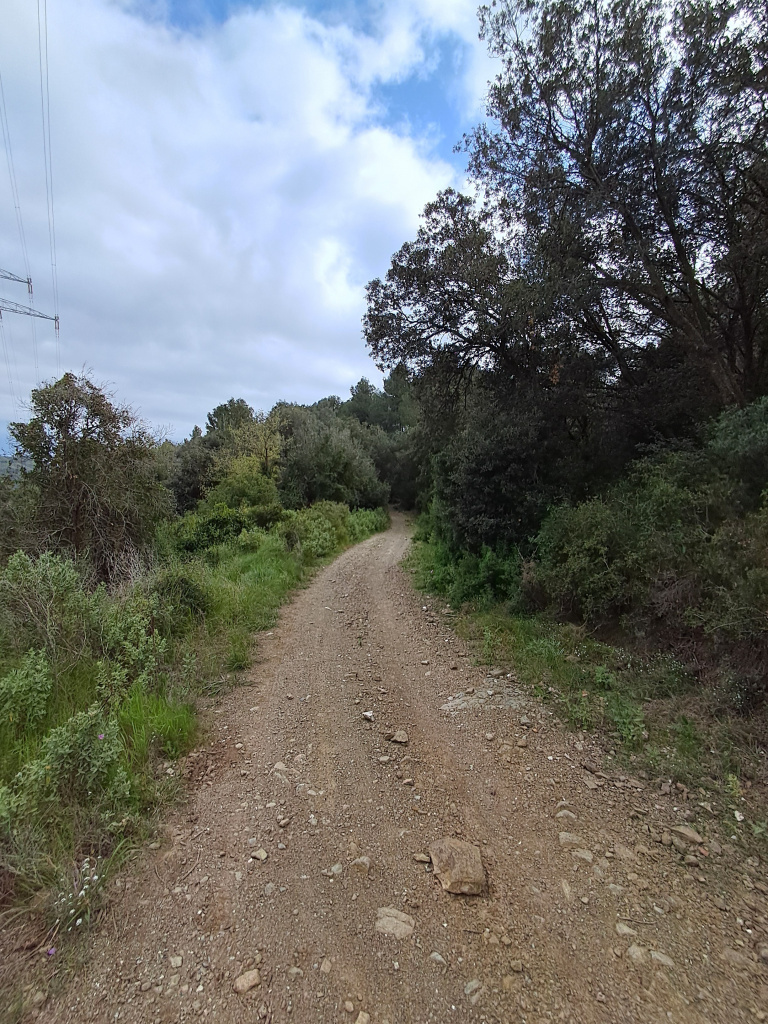 Tram del camí en el seu ascens al turó.