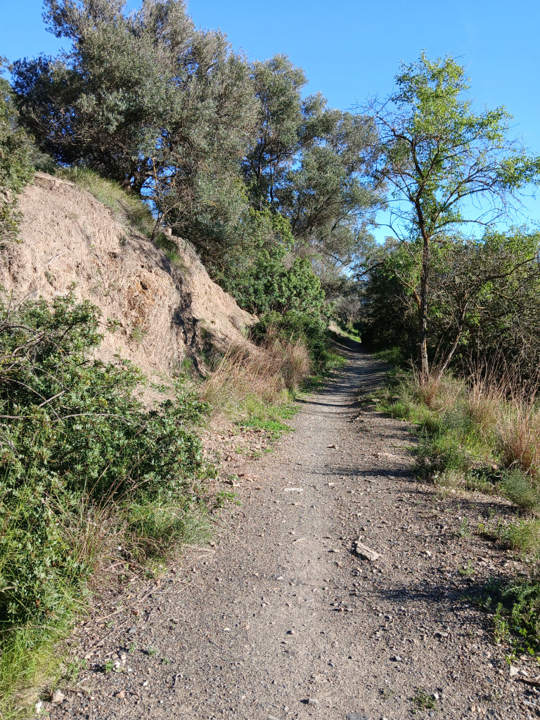 El camí al seu pas per un talús. 