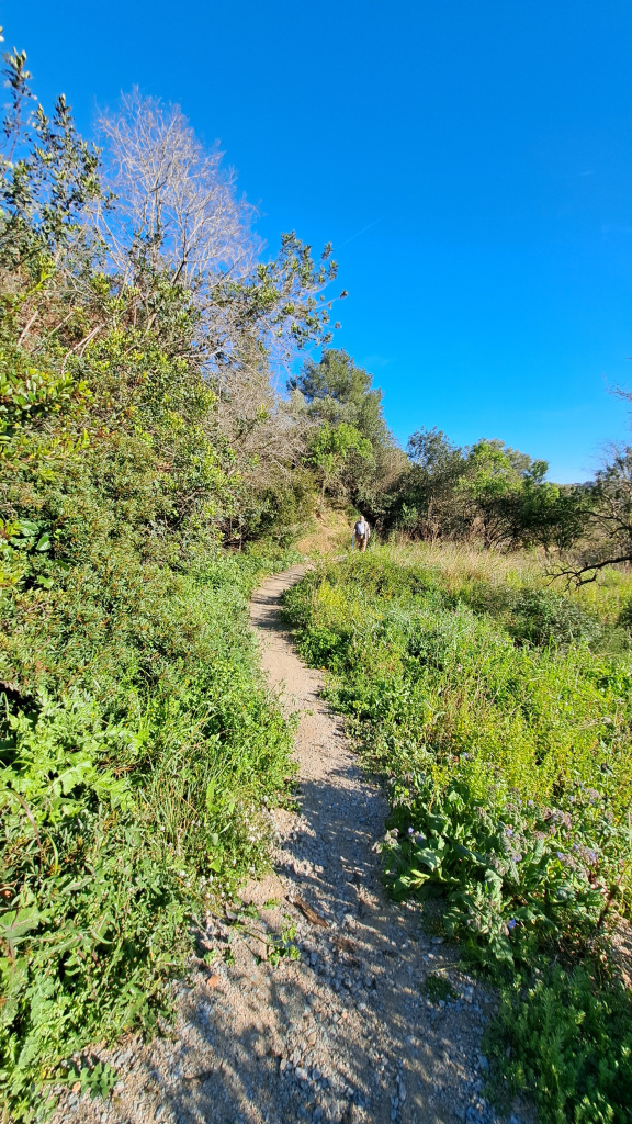 Vista detall de l'amplada del sender.