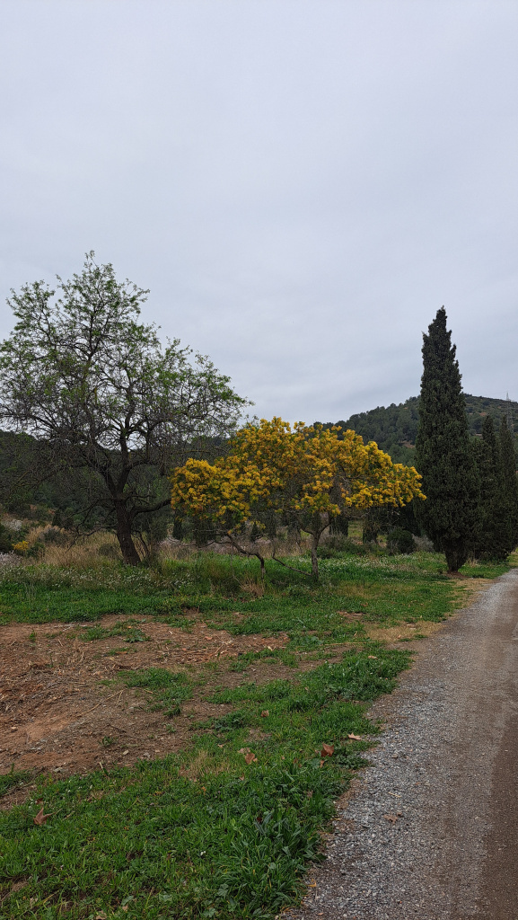 Tram del camí a les proximitats de can Coscoll.