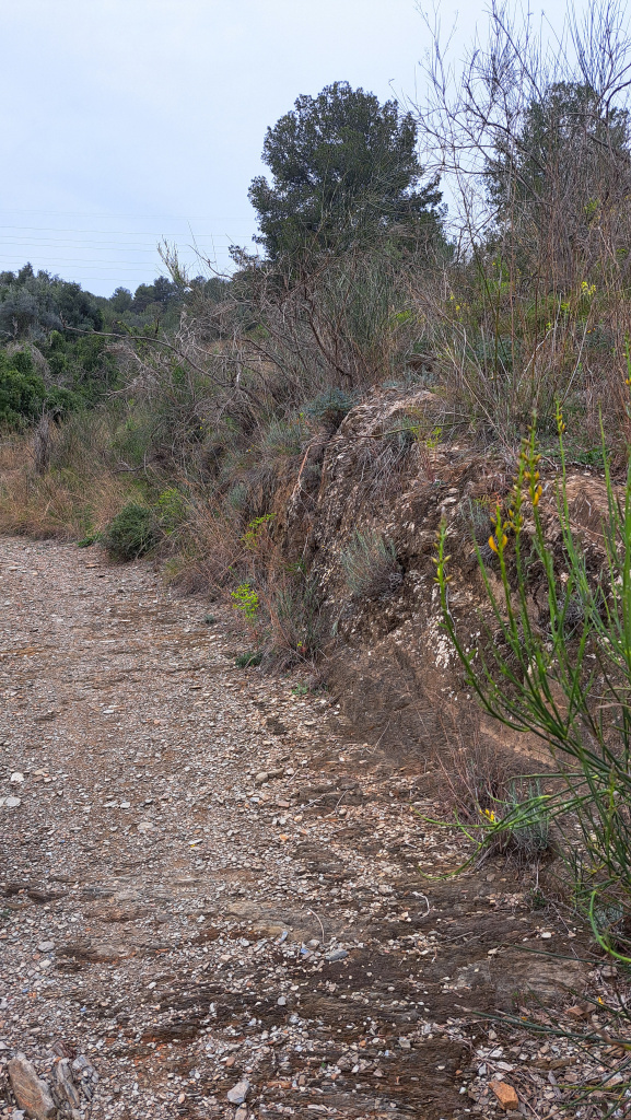 Tram del camí retallat a la roca mare.