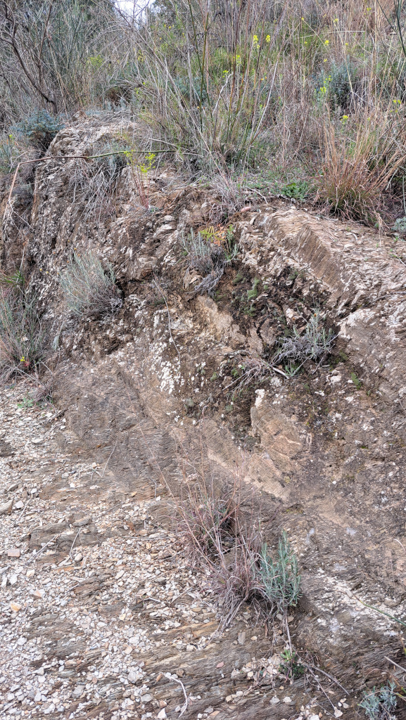 Detall del retall a la roca mare.