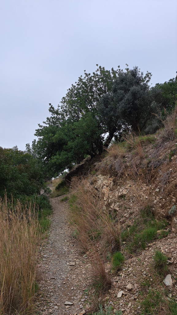 Tram del camí en el seu ascens.