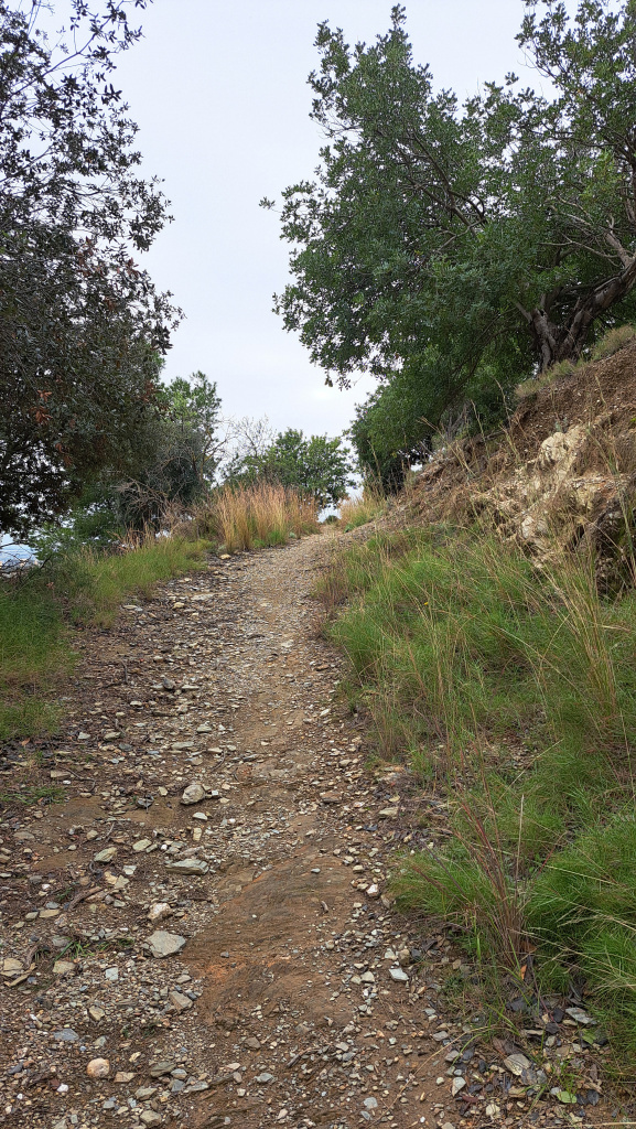 Tram del camí entre vegetació en el seu ascens.