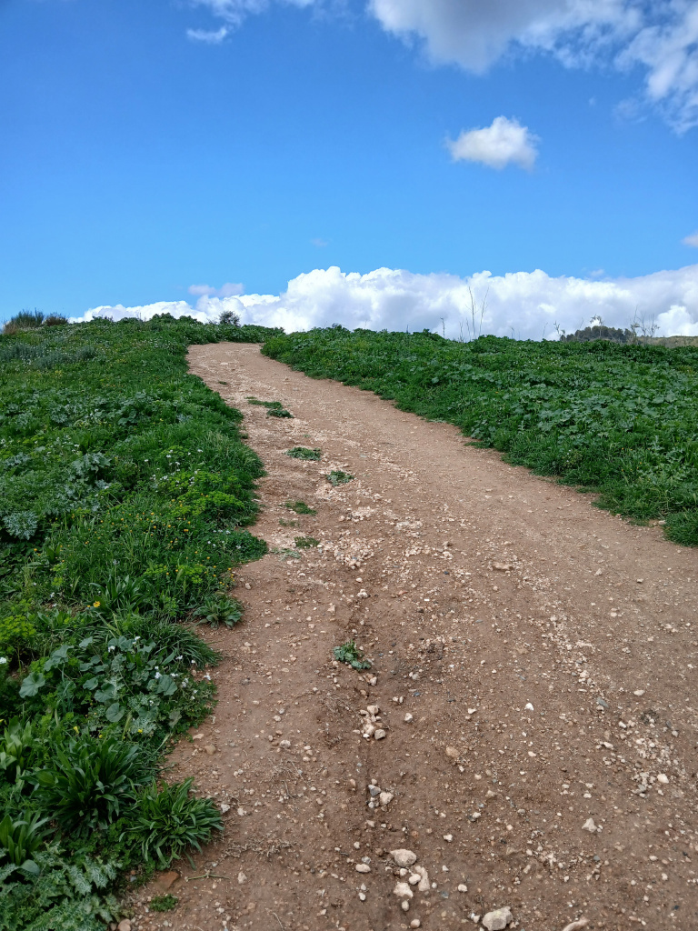 Traçat del camí proper a la zona urbana.