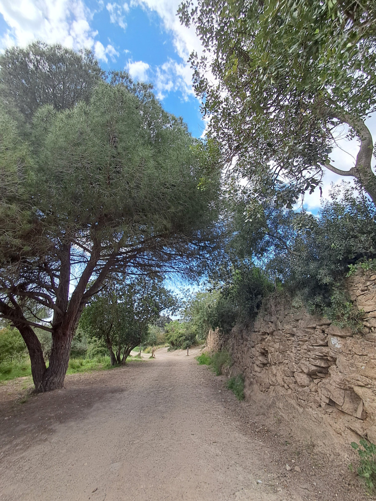 Tram del camí delimitat per marges de pedra seca. 